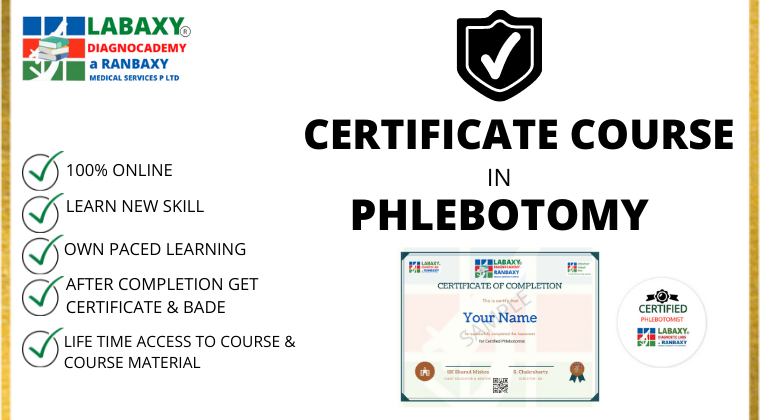 Phlebotomy certification cheap